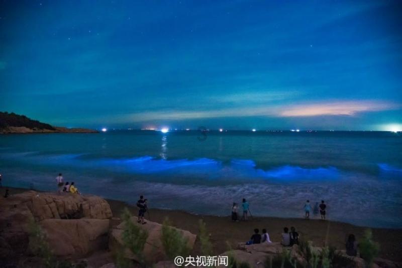 胡衡华:做好“土特产”文章 推动食品及农产品加工产业高质量发展